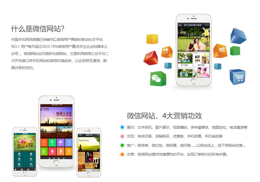 微网站(图1)