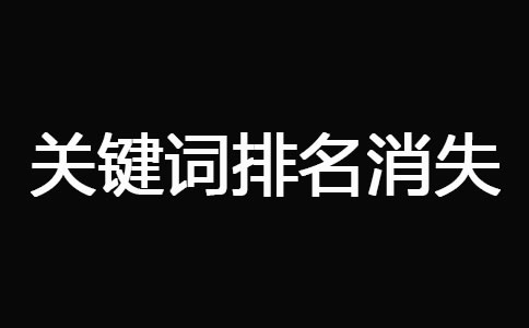 网站被K之后快速恢复技巧(图9)